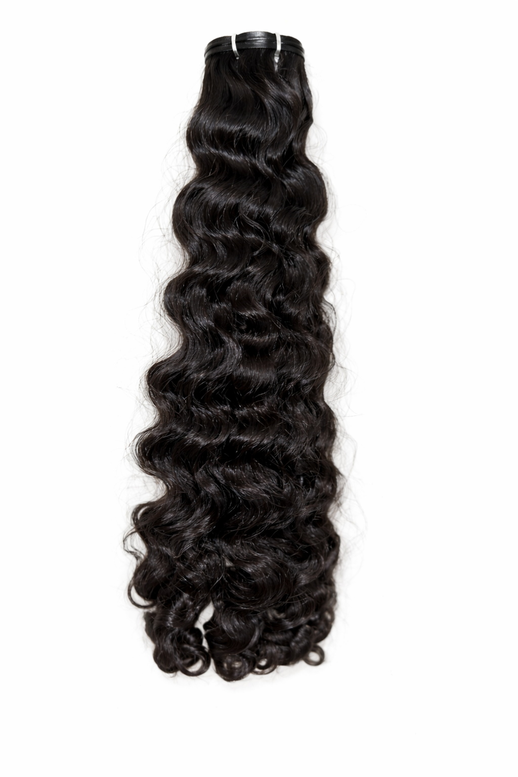 BURMESE BOUNCY CURL