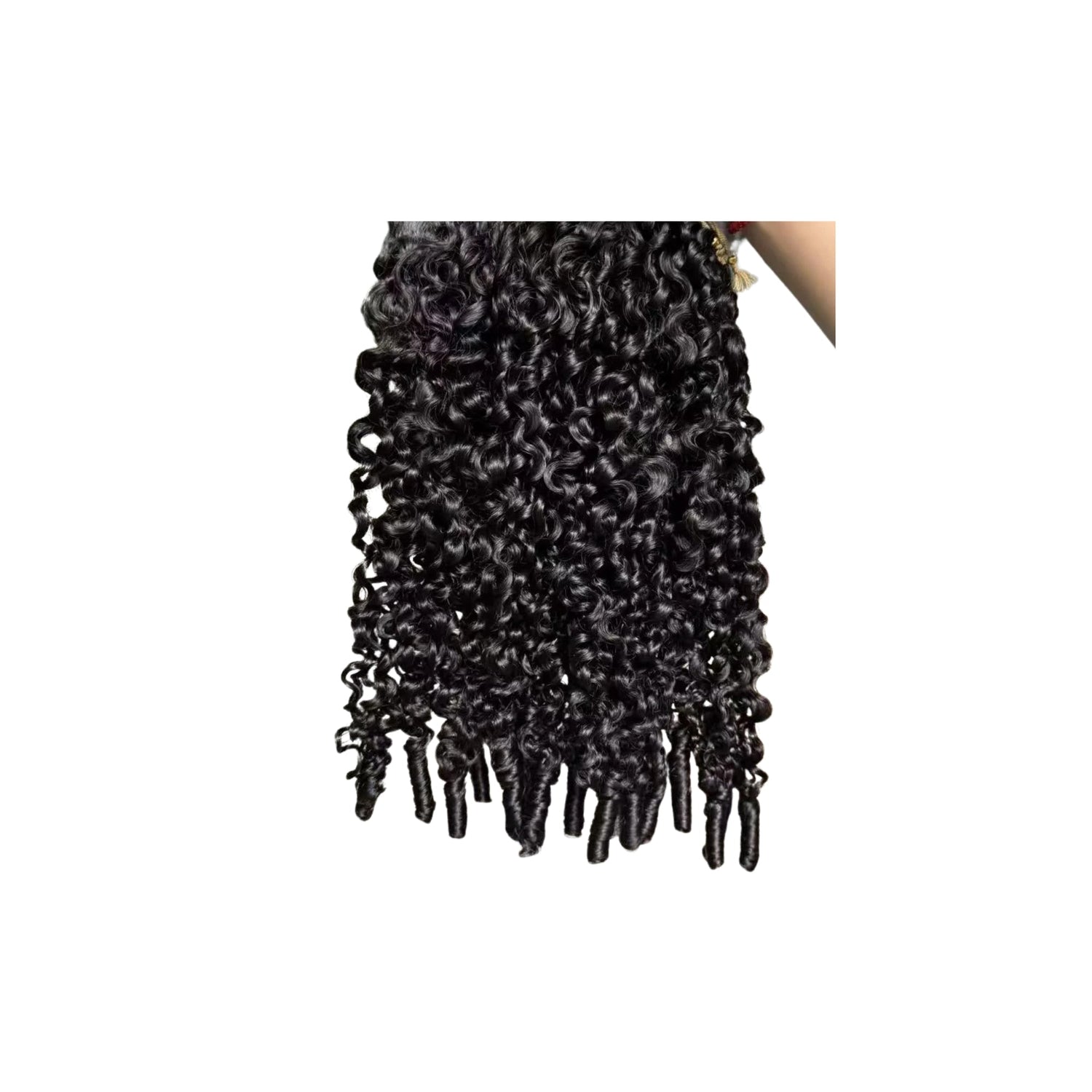 Burmese Spiral Curly